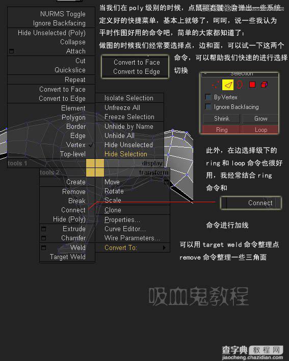 教你用3ds max制作多边形小狗建模4