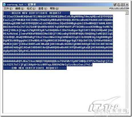 windows server 2003中IIS6.0 搭配https本地测试环境26