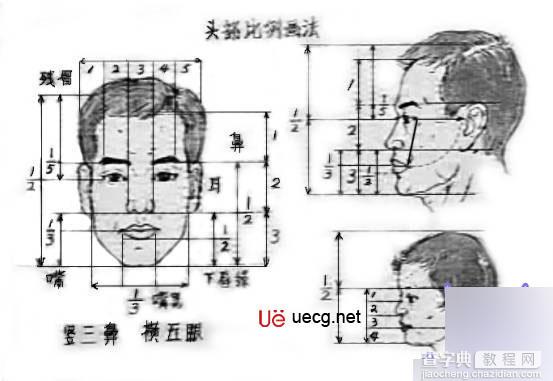 Maya人体造型解剖学基础1