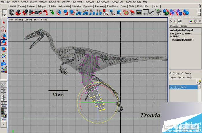 MAYA 7.0恐龙建模的方法和制作步骤介绍9