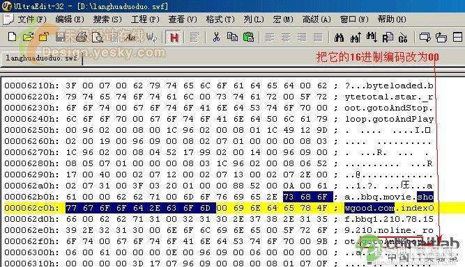 Flash动画在线播放限制巧妙去除方法介绍(两种方法)3