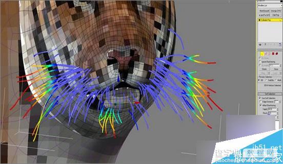 3dsMax制作超逼真的3D老虎6