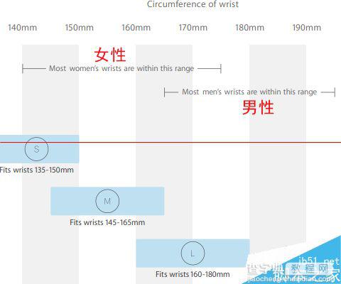 怎么选择Apple Watch表壳和表带尺寸？8