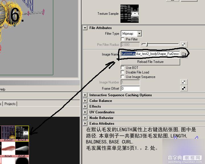 MAYA FUR制作超逼真的蜜蜂体毛8