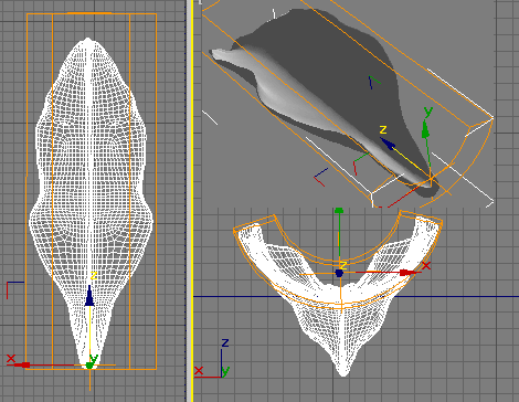 3DMAX简单制作一朵纯洁的百合花5