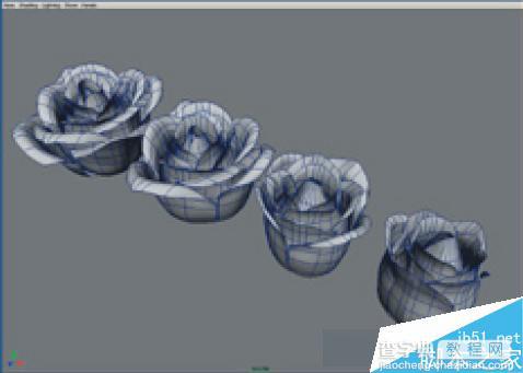 maya7.0制作漂亮的红玫瑰花建模18