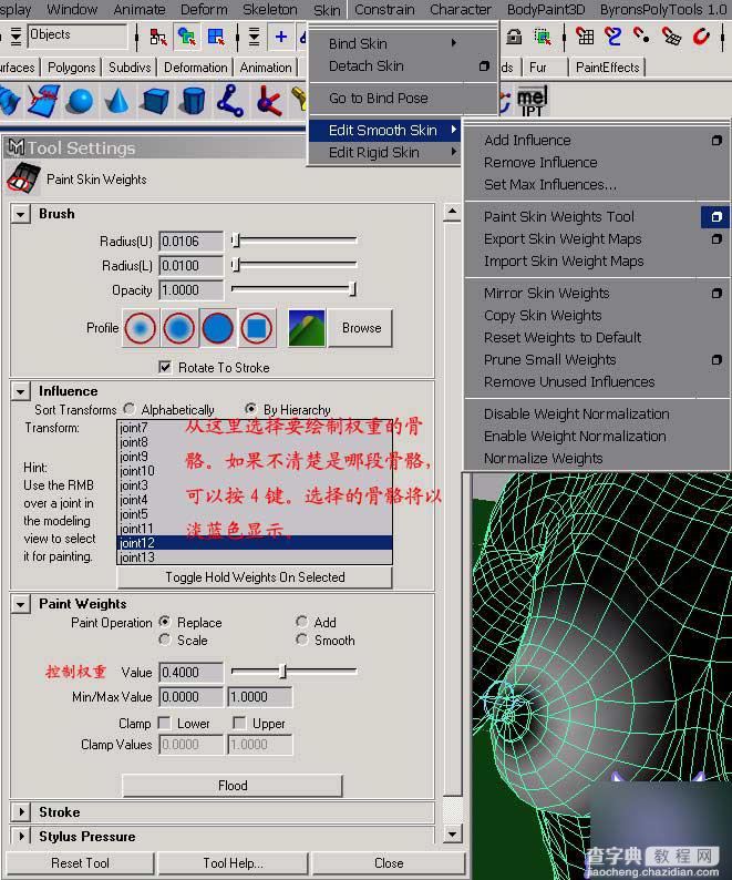 Maya 6.0 新功能之Hair工具的运用6