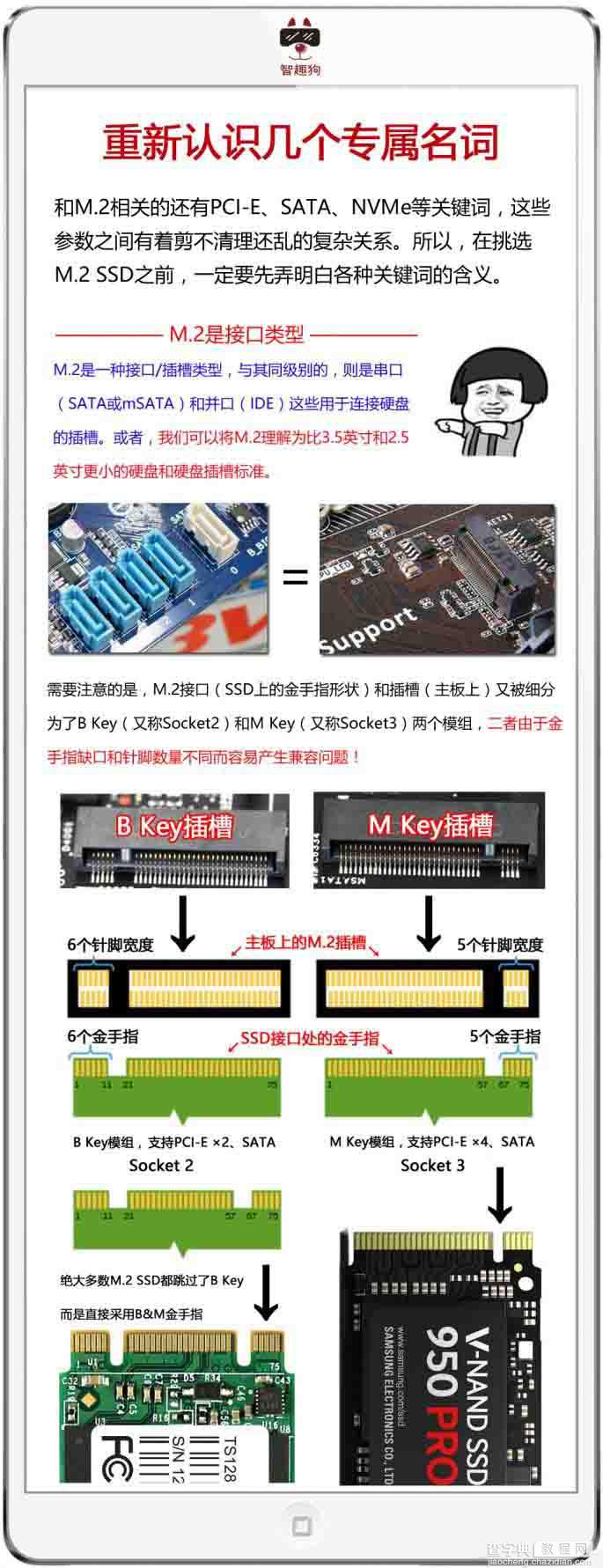 NVMe SSD是什么?5张图让你明白SSD那些事2