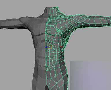 MAYA建立人体躯干的建模教程32