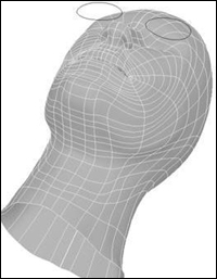 MYAY NURBS人头高级建模教程1