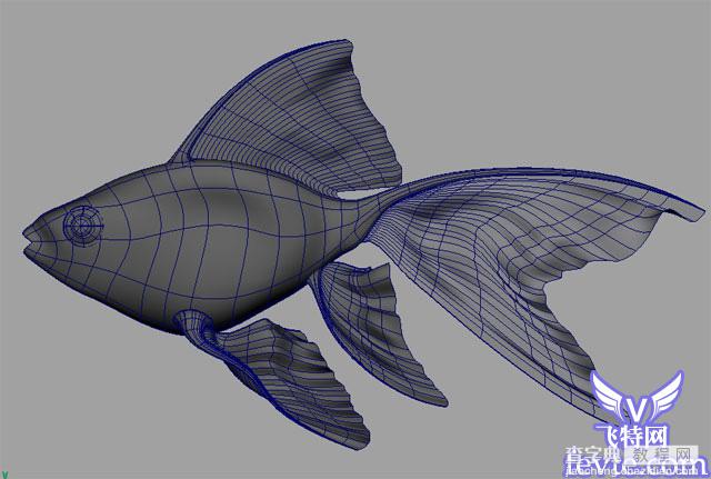 Maya教程 制作鱼的模型全过程1