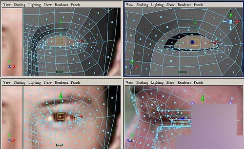 Maya制作人物头部polygon建模15