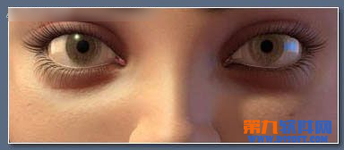 3dsMax绘制逼真的浓密深褐色眼睫毛教程1