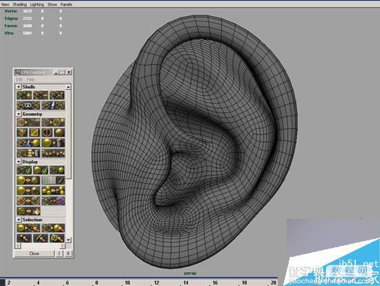 MAYA多边形工具建模一个逼真的人物耳朵21