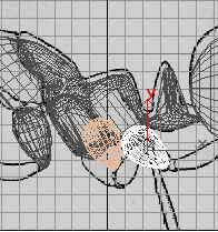 蚂蚁实例--深入了解3DMAX建模技术（下）4