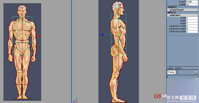 MAYA建立人体躯干的建模教程3