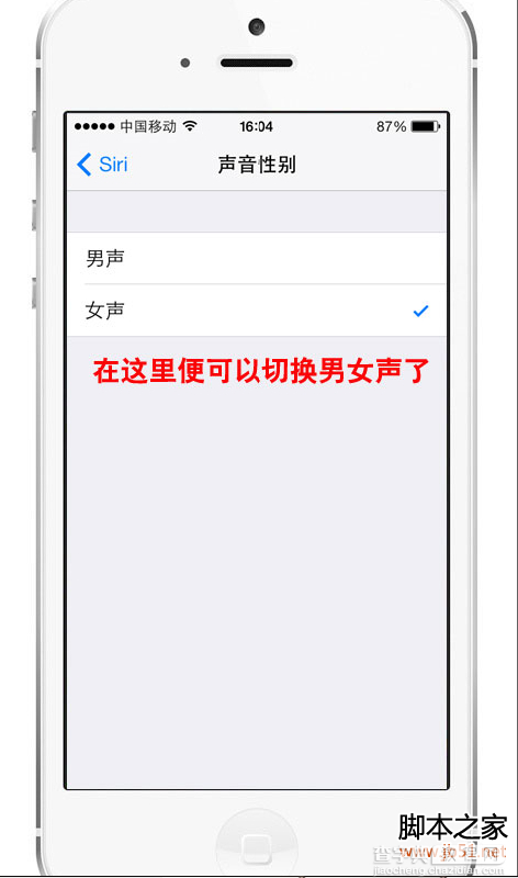 苹果iOS7新增的Siri男女声切换的方法及支持的语言8
