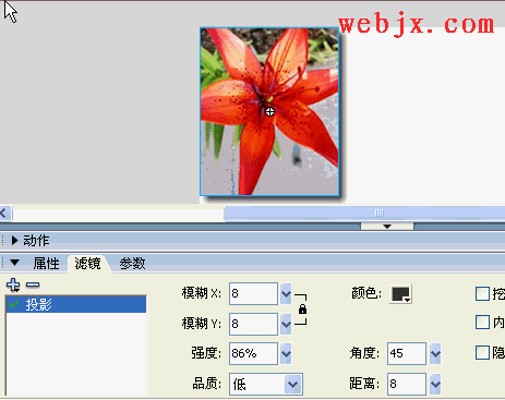 Flash8 滤镜制作漂亮图片动画效果3