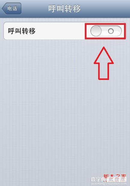 iPhone怎么设置呼叫转移 iphone呼叫转移设置教程5