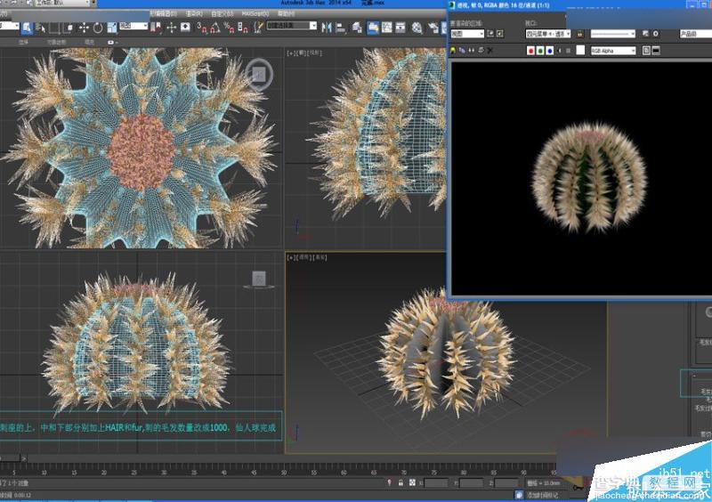 3DMAX毛发修改器打造仙人球建模的方法详解19