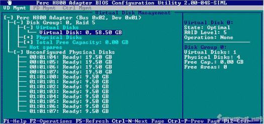 DELL服务器RAID H700,PERC H800阵列卡配置中文完全手册图解7