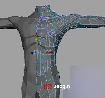 MAYA建立人体躯干的建模教程31