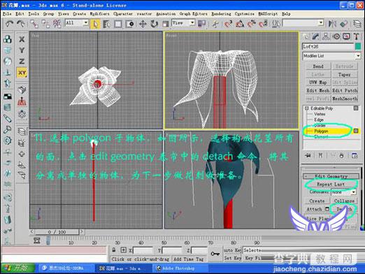 3dmax打造一支漂亮的情人节金色玫瑰12