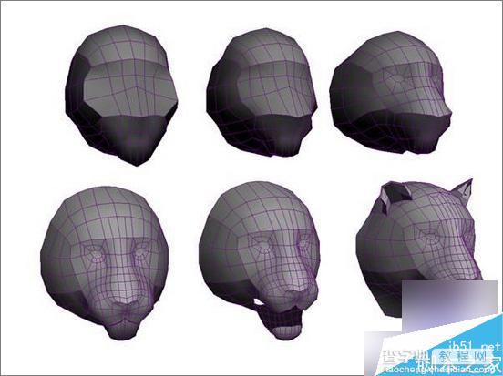 3dsMax制作超逼真的3D老虎3