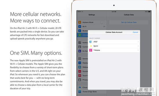 蜂窝版iPad Air 2自带SIM卡(Apple SIM)可自选自换运营商1