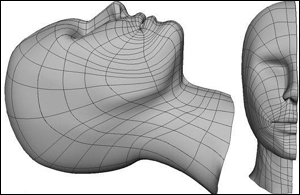 MYAY NURBS人头高级建模教程22
