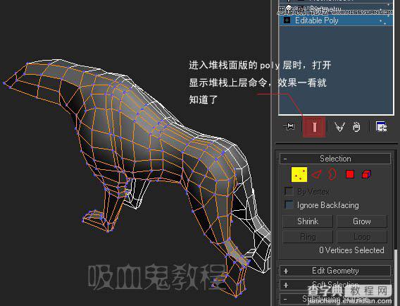 教你用3ds max制作多边形小狗建模5