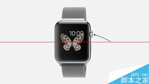 Apple Watch可以当闹钟吗？Apple Watch设置闹钟闹铃的教程2