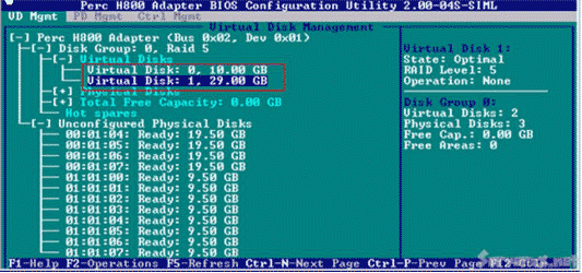 DELL服务器RAID H700,PERC H800阵列卡配置中文完全手册图解16