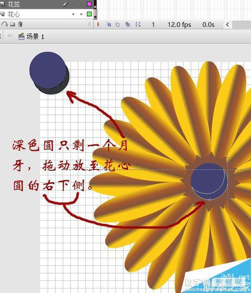 flash绘制一朵非常漂亮的花17