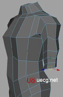 MAYA建立人体躯干的建模教程15