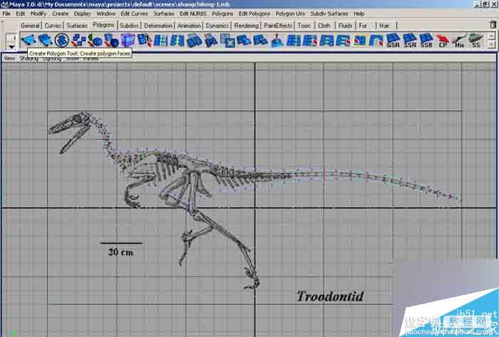 MAYA 7.0恐龙建模的方法和制作步骤介绍4