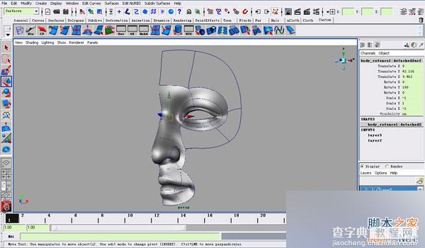 maya nurbs制作高精度生物模型——人物头部模型详解14