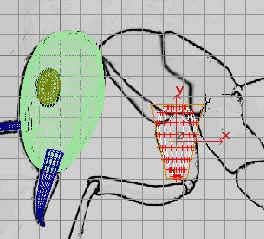 蚂蚁实例--深入了解3DMAX建模技术（下）2