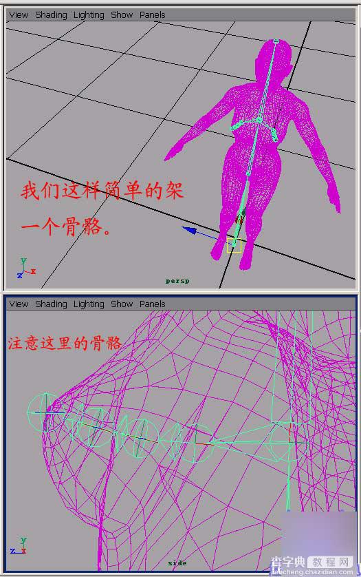 Maya 6.0 新功能之Hair工具的运用4