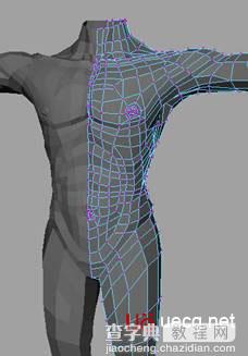 MAYA建立人体躯干的建模教程34