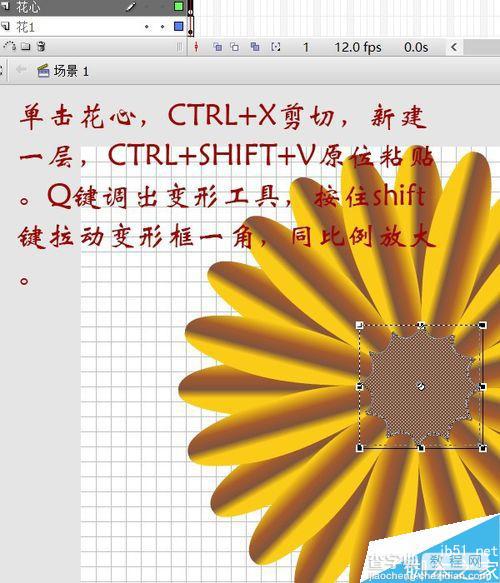 flash绘制一朵非常漂亮的花13