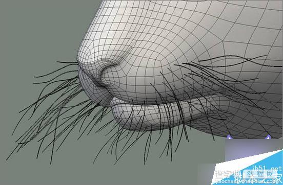 3dsMax制作超逼真的3D老虎7