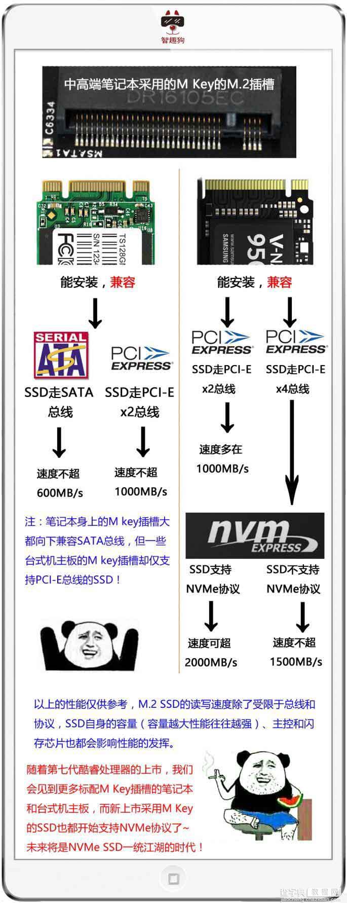 NVMe SSD是什么?5张图让你明白SSD那些事5