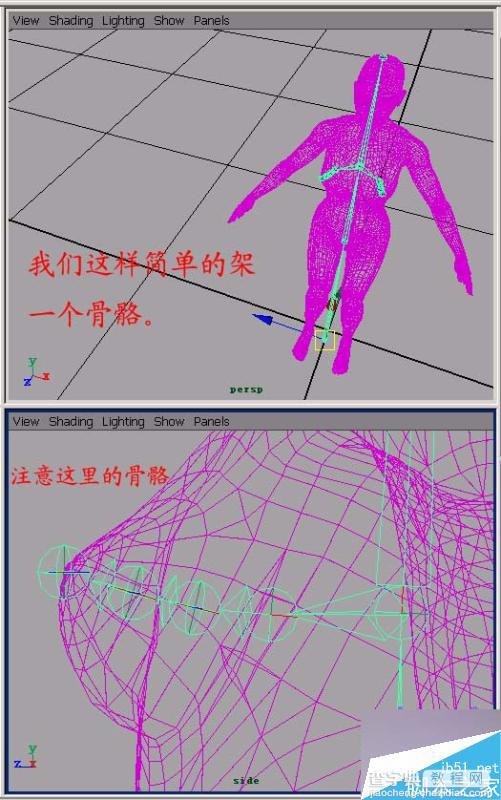 MAYA Hair制作柔体动画处理教程4