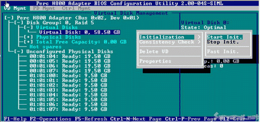 DELL服务器RAID H700,PERC H800阵列卡配置中文完全手册图解10