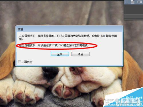ps怎么全屏显示?PS全屏化预览及退出全屏5