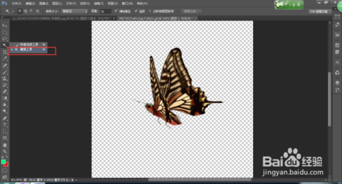 photoshop cs6魔棒工具使用技巧详解1