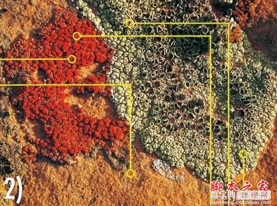 专业摄影师构图的10种小方法3