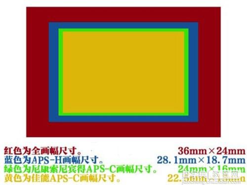 摄影其实不难学——如何选择第一台机身(上) 方法教程4