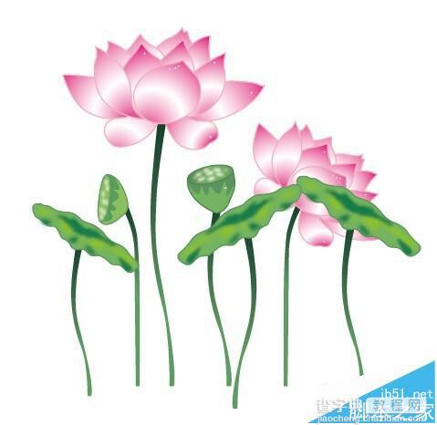 AI怎么画漂亮的莲花? ai绘制逼真荷花的图文教程8